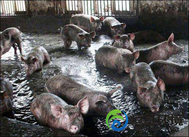 養(yǎng)殖場污水處理